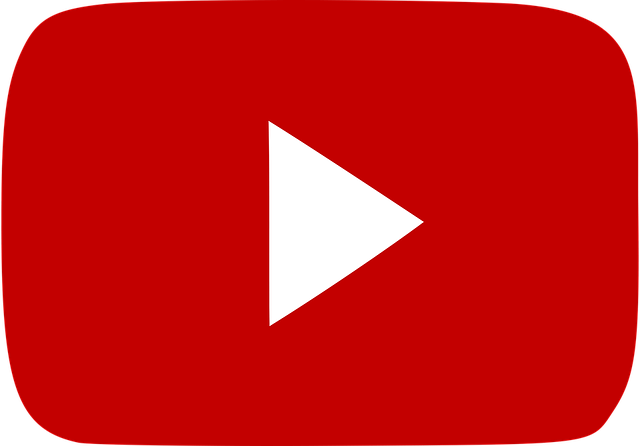 Seguimi su Youtube